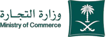 logo 13